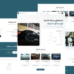 درايف برو